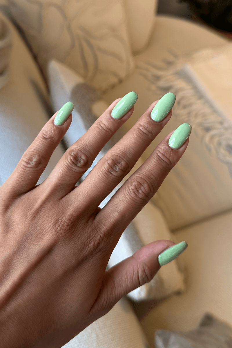 Pistachio · 488
